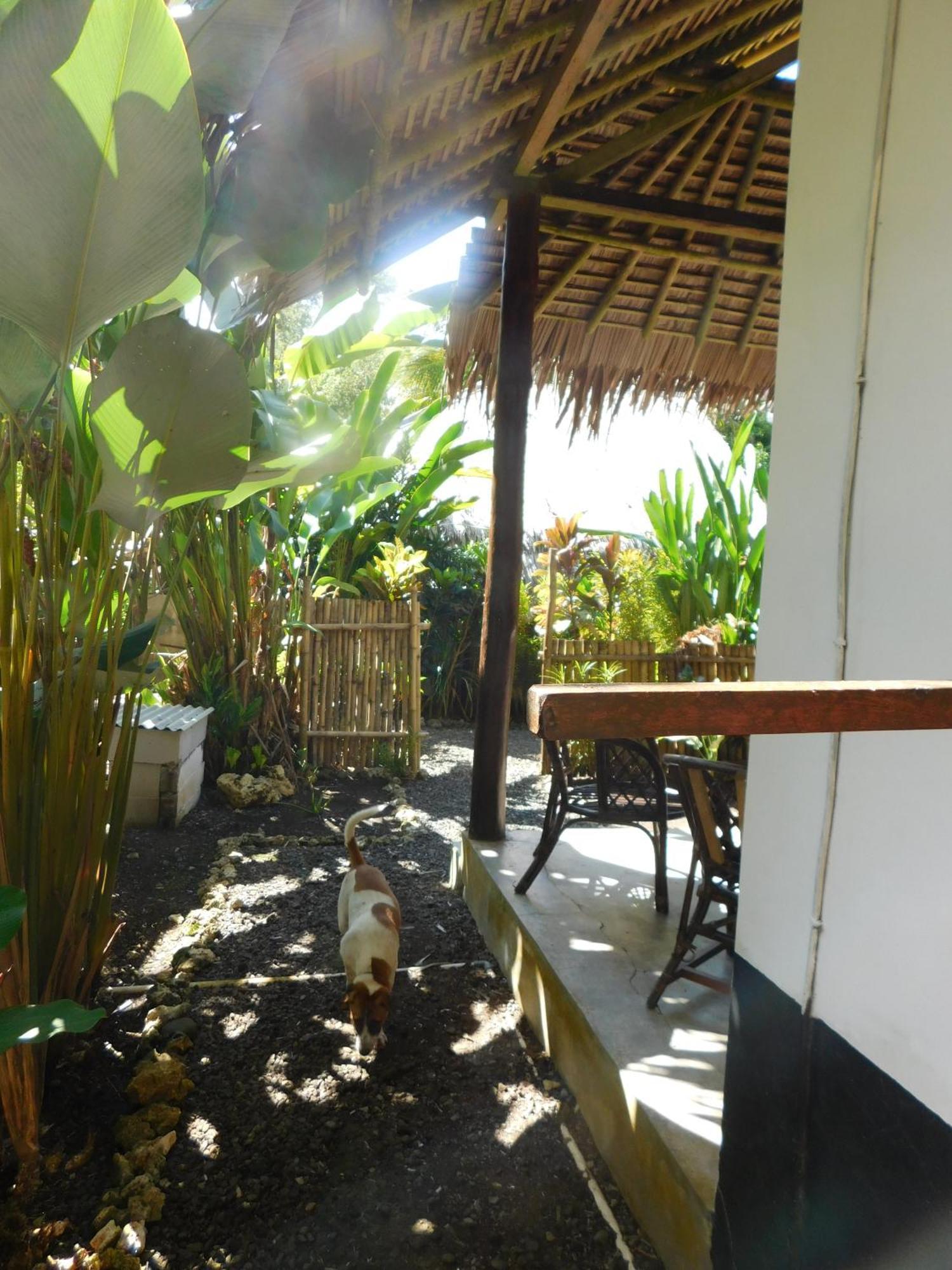 Rnv Eco Resort Bungalows Batukaras Екстер'єр фото